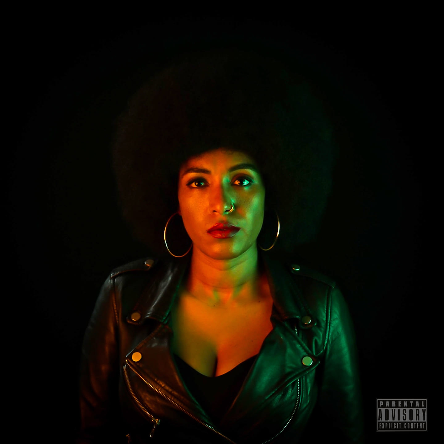 who is Ambassader 2026 ?